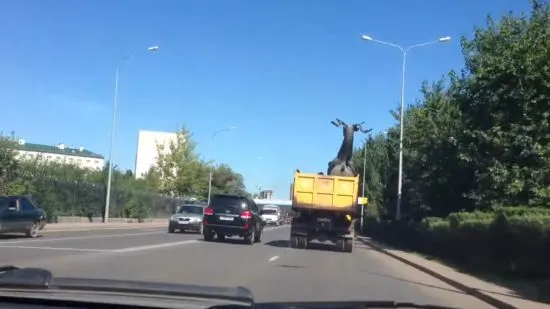 Два оленя