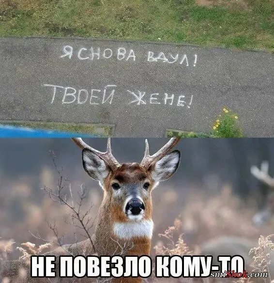 Картинки с надписями (25 фото)