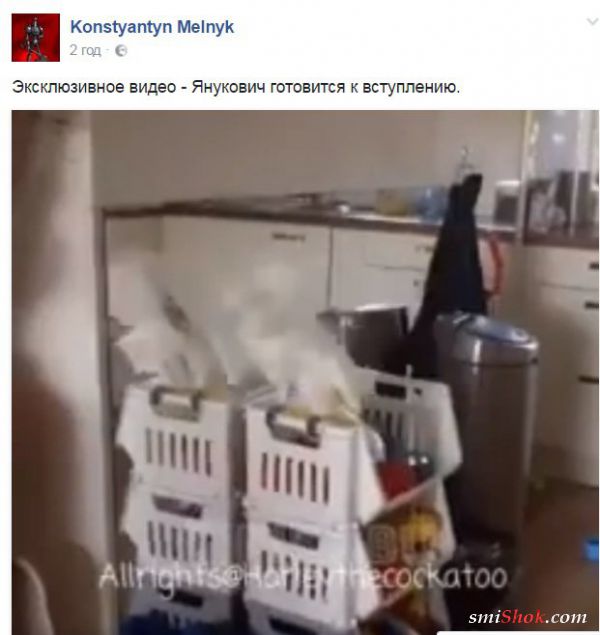 Как соцсети троллят "второе пришествие" Януковича