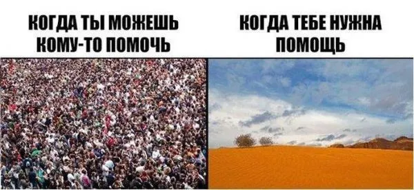 Смешные картинки с надписями от 9 декабря 2016 Смешные картинки с надписями от 9 декабря 2016