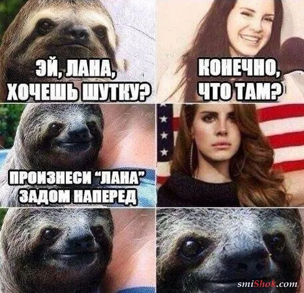 Смешные картинки с надписями от 9 декабря 2016 Смешные картинки с надписями от 9 декабря 2016