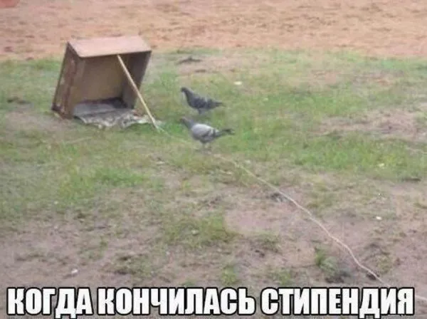Смешные картинки с надписями от 9 декабря 2016 Смешные картинки с надписями от 9 декабря 2016