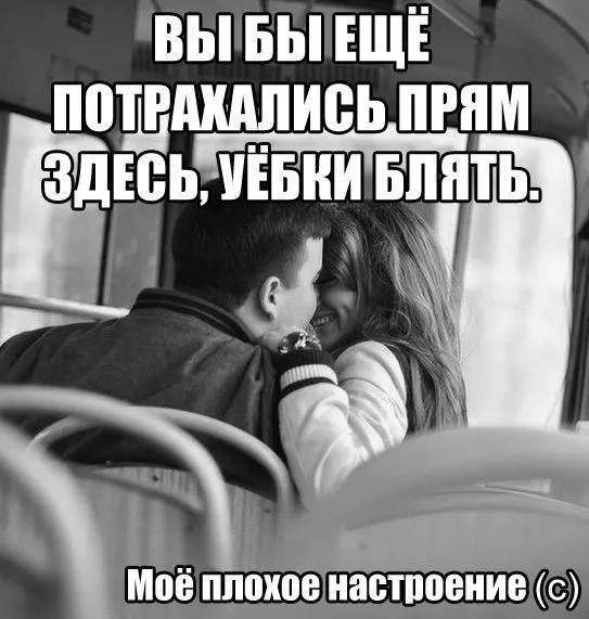 Смешные картинки с надписями от 20 декабря 2016
