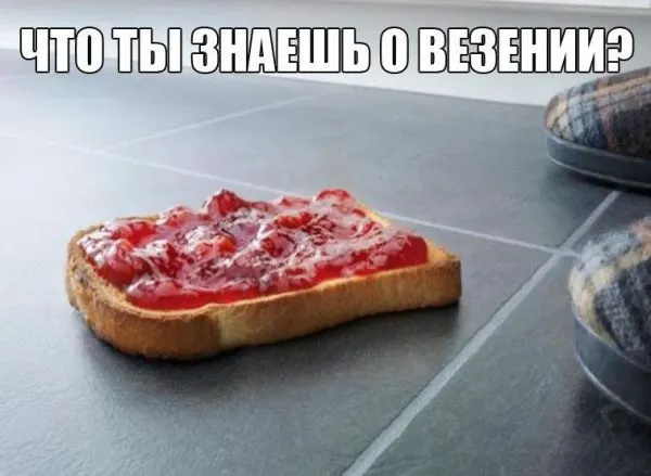 Смешные картинки с надписями от 20 декабря 2016