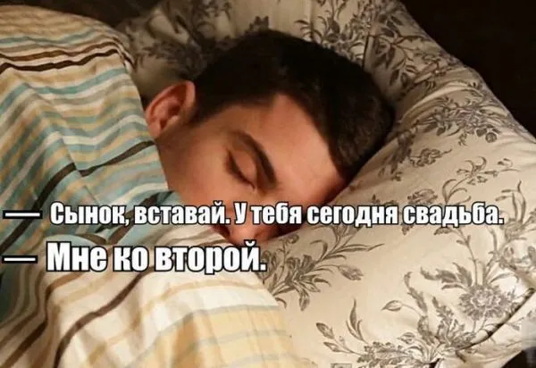 Смешные картинки с надписями от 20 декабря 2016