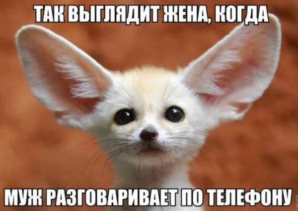 Смешные картинки с надписями от 20 декабря 2016