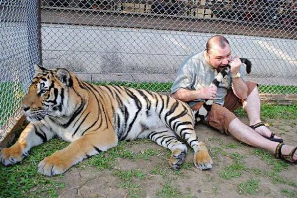 20 кандидатов на Премию Дарвина