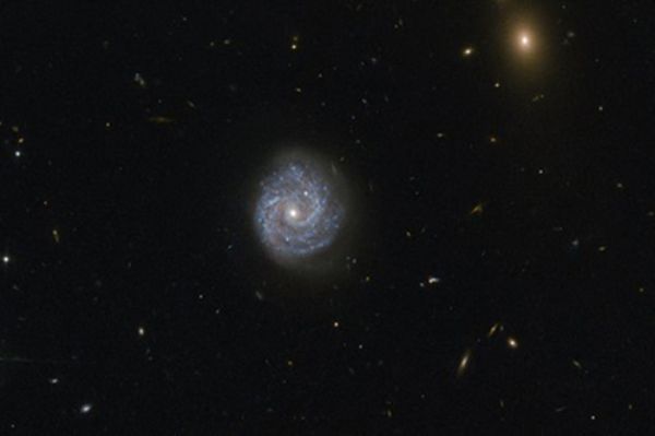 Hubble сделал открытие в "черных дырах", удивившее ученых