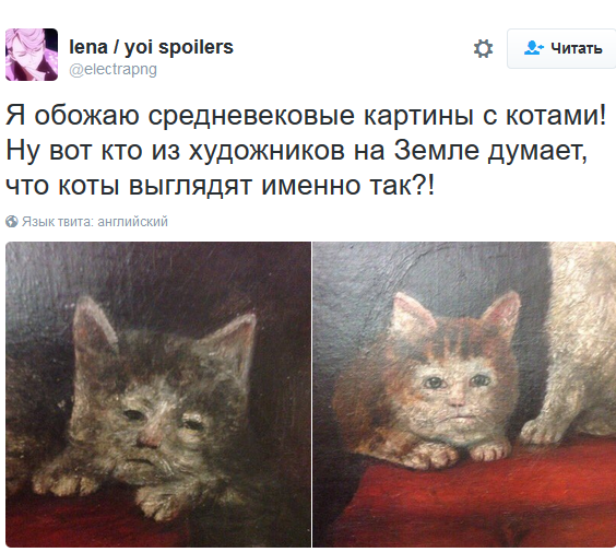 Шедевральные записи владельцев котиков в соцсетях
