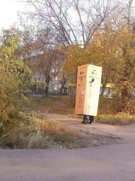 Когда логика это не про нас Когда логика это не про нас
