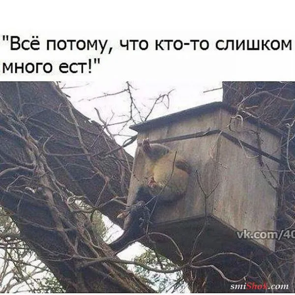 Весна совсем скоро.
