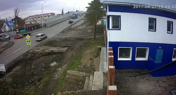 Собачкам нравится смотреть на аварии