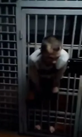 Пацан застрял в клетке