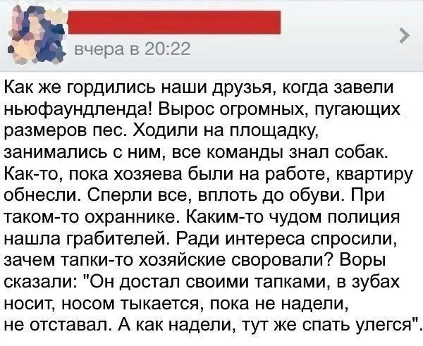 Смешные комментарии из соцсетей от 15 мая 2017 Смешные комментарии из соцсетей от 15 мая 2017