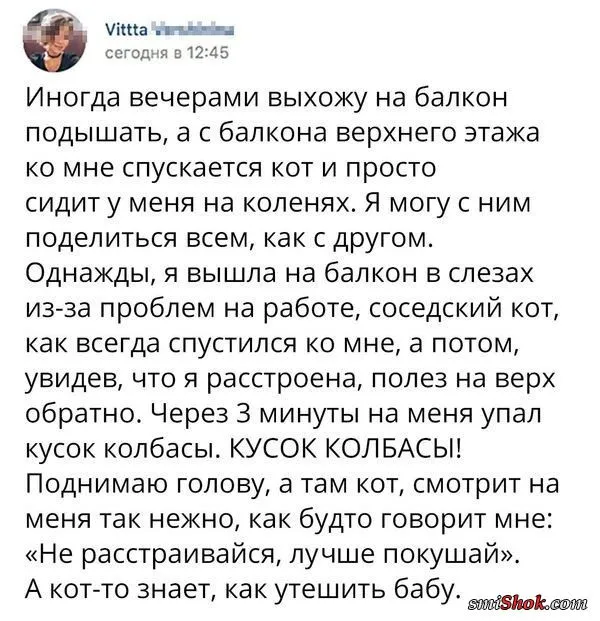 Смешные комментарии из соцсетей от 15 мая 2017 Смешные комментарии из соцсетей от 15 мая 2017