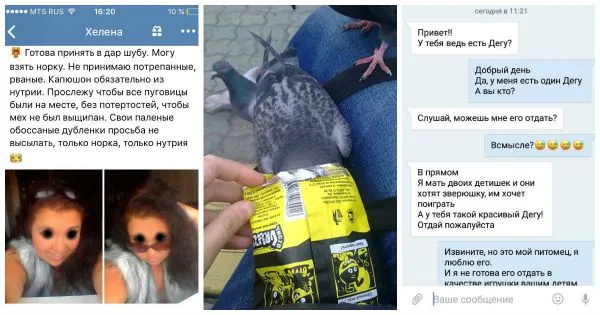 Наглость - второе счастье или тебе жалко что ли?