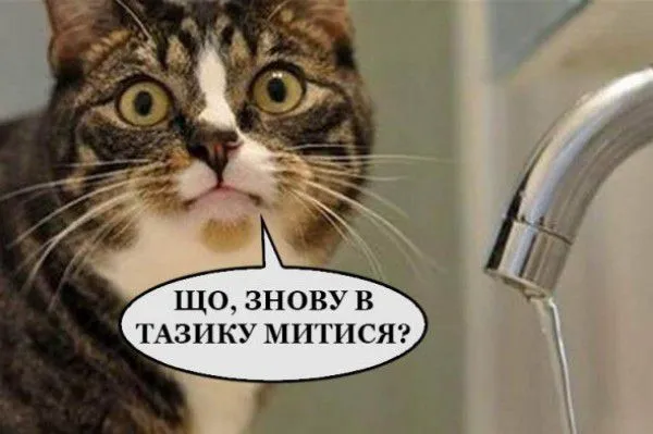 Отключили горячую воду: чертова дюжина мемов из соцсетей Отключили горячую воду: чертова дюжина мемов из соцсетей