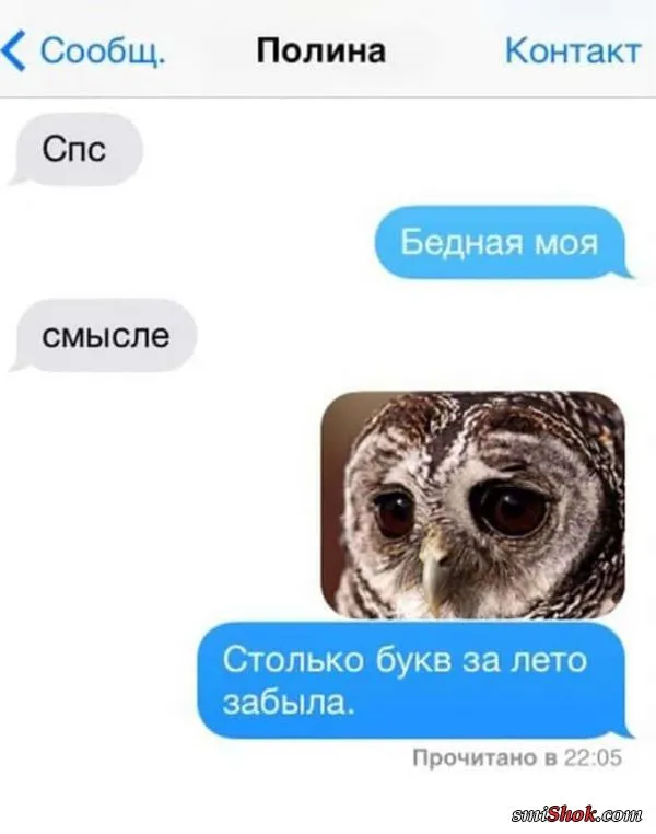 Глупые СМС переписки между близкими людьми