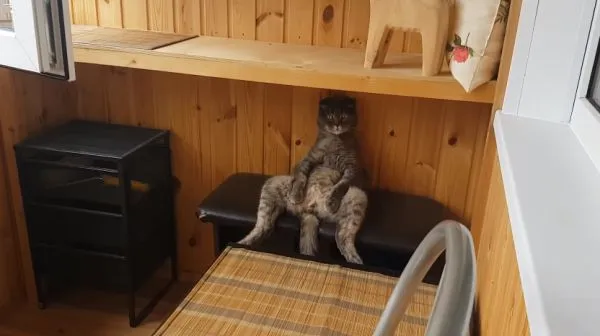 Когда понял смысл жизни