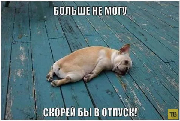 Картинки с надписями, очередная порция настроения (25 фото) Картинки с надписями, очередная порция настроения (25 фото)