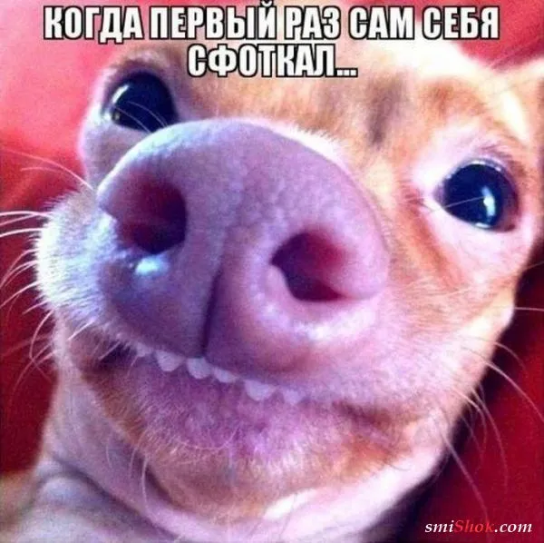 Картинки с надписями, очередная порция настроения (25 фото) Картинки с надписями, очередная порция настроения (25 фото)