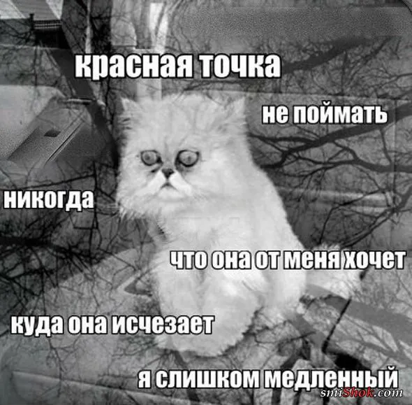 Картинки с надписями, очередная порция настроения (25 фото) Картинки с надписями, очередная порция настроения (25 фото)