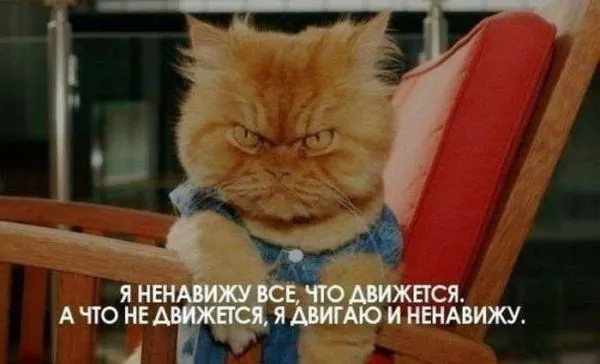 Картинки с надписями, очередная порция настроения (25 фото) Картинки с надписями, очередная порция настроения (25 фото)
