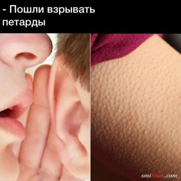 Картинки с надписями, очередная порция настроения (25 фото) Картинки с надписями, очередная порция настроения (25 фото)
