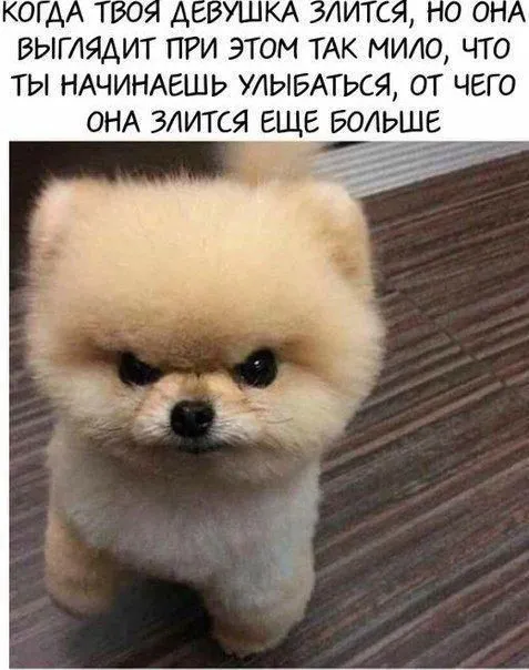 Поднимут настроение картинки с надписями от 15 сентября 2017 Поднимут настроение картинки с надписями от 15 сентября 2017