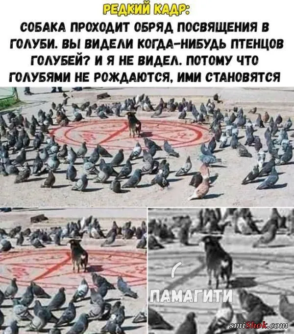 Поднимут настроение картинки с надписями от 15 сентября 2017 Поднимут настроение картинки с надписями от 15 сентября 2017
