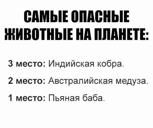 Поднимут настроение картинки с надписями от 15 сентября 2017 Поднимут настроение картинки с надписями от 15 сентября 2017