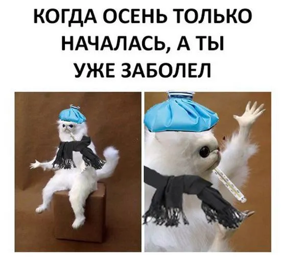 Смешные картинки с надписями от 15 сентября 2017