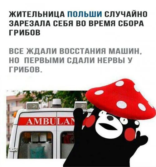 Смешные картинки с надписями от 20 сентября 2017