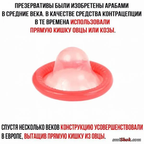 Смешные картинки с надписями от 25 сентября 2017 Смешные картинки с надписями от 25 сентября 2017
