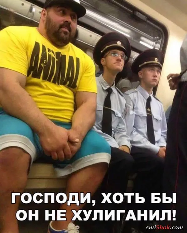 Смешные картинки с надписями от 25 сентября 2017 Смешные картинки с надписями от 25 сентября 2017
