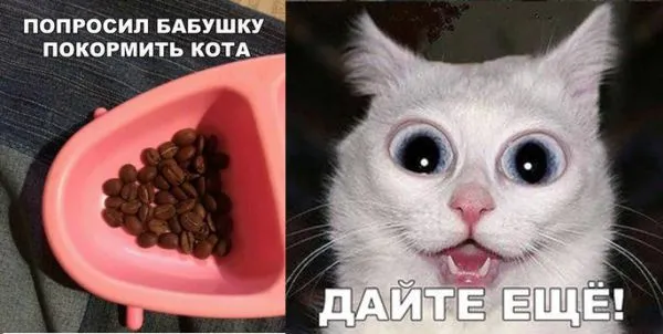 Смешные картинки с надписями от 25 сентября 2017