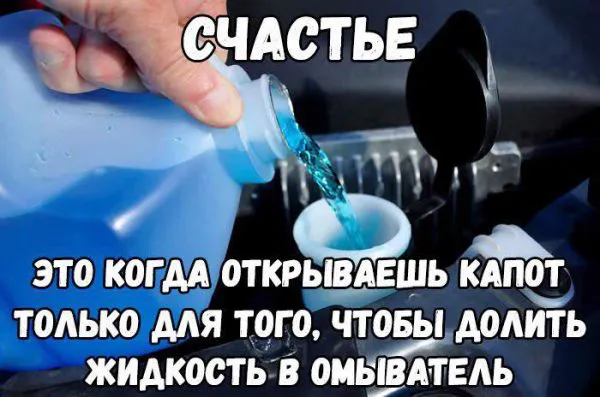 Смешные картинки с надписями от 25 сентября 2017 Смешные картинки с надписями от 25 сентября 2017