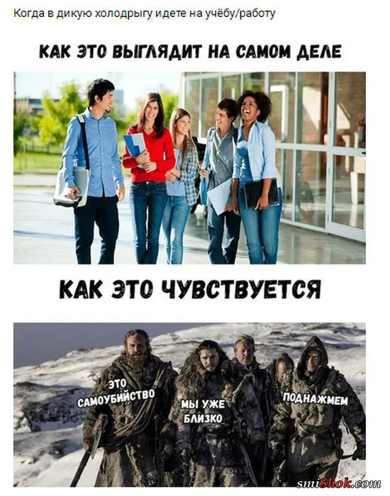 Смешные картинки с надписями от 3 октября 2017