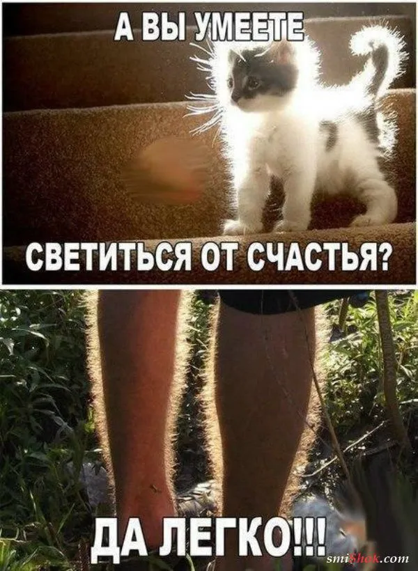 Смешные картинки с надписями от 9 октября 2017