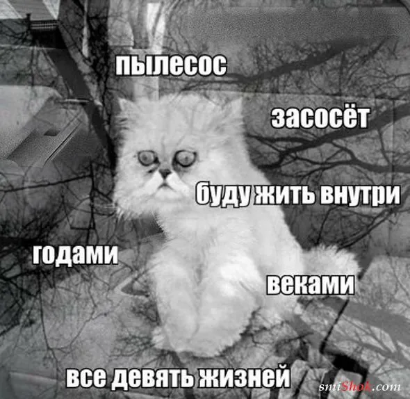 Смешные картинки с надписями от 14 октября 2017 Смешные картинки с надписями от 14 октября 2017