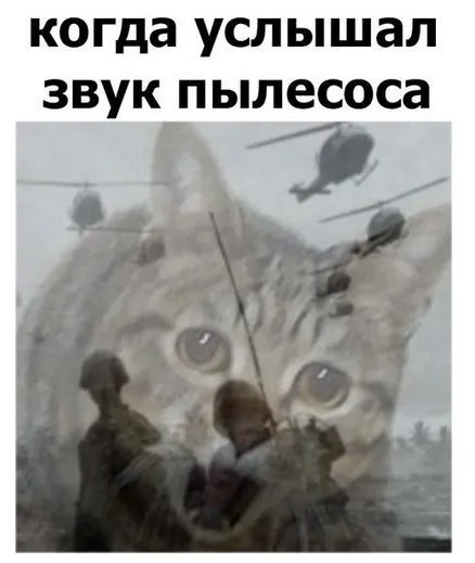 Смешные картинки с надписями от 14 октября 2017 Смешные картинки с надписями от 14 октября 2017