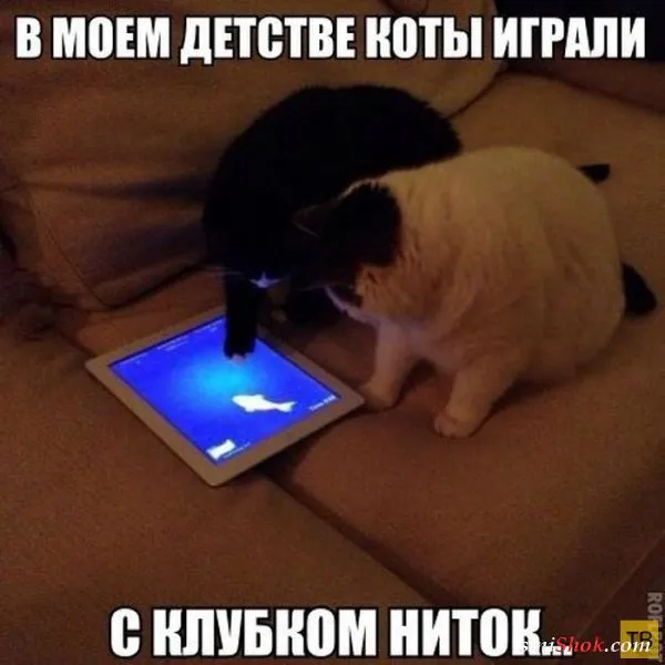 Смешные картинки с надписями от 14 октября 2017 Смешные картинки с надписями от 14 октября 2017