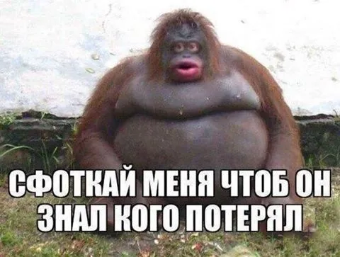 Смешные картинки с надписями от 14 октября 2017 Смешные картинки с надписями от 14 октября 2017