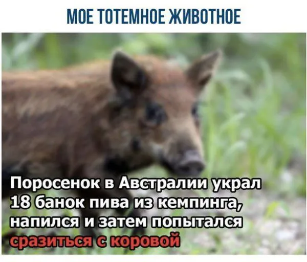 Смешные картинки с надписями от 14 октября 2017 Смешные картинки с надписями от 14 октября 2017