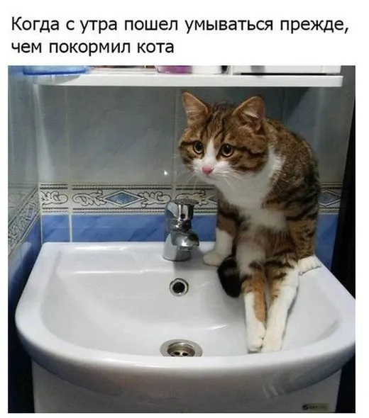Смешные картинки с надписями от 19 октября 2017 Смешные картинки с надписями от 19 октября 2017