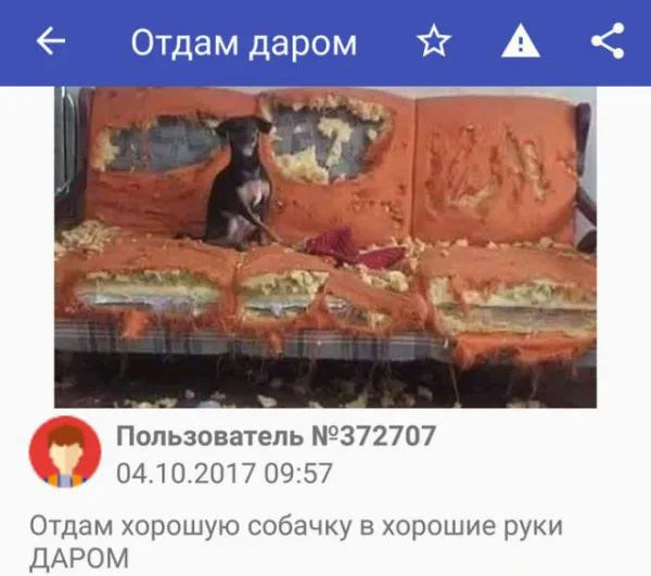 Смешные картинки с надписями от 19 октября 2017 Смешные картинки с надписями от 19 октября 2017