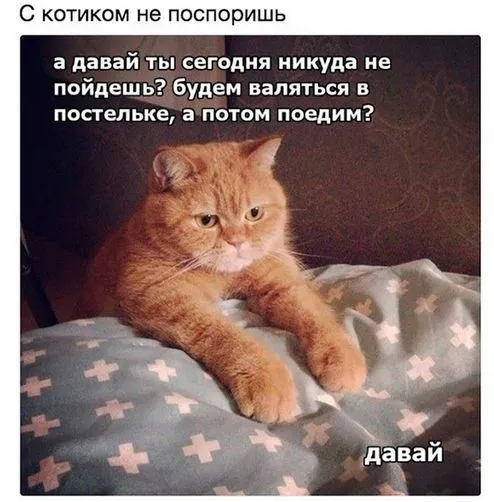 Смешные картинки с надписями от 19 октября 2017 Смешные картинки с надписями от 19 октября 2017