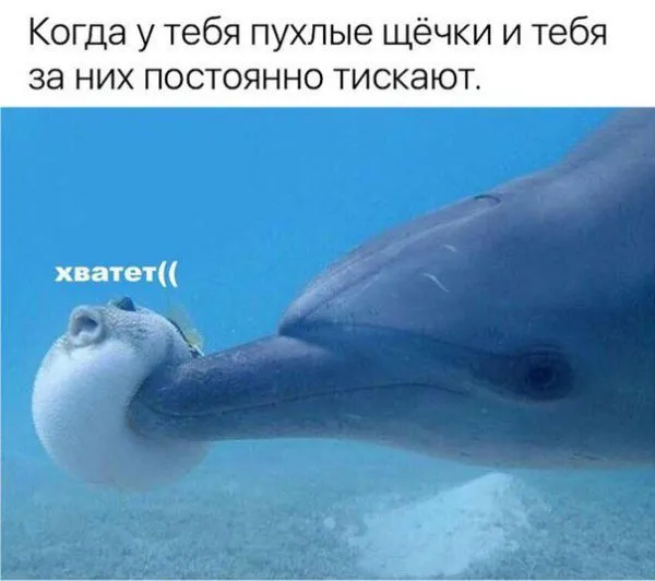 Смешные картинки с надписями от 27 октября 2017