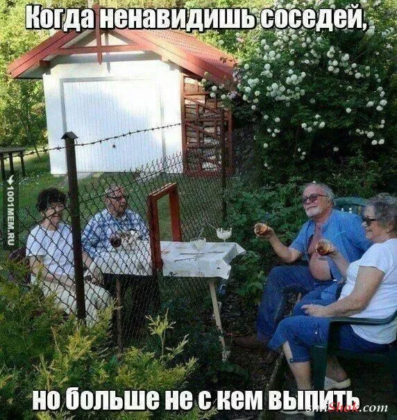 Смешные картинки с надписями от 3 ноября 2017
