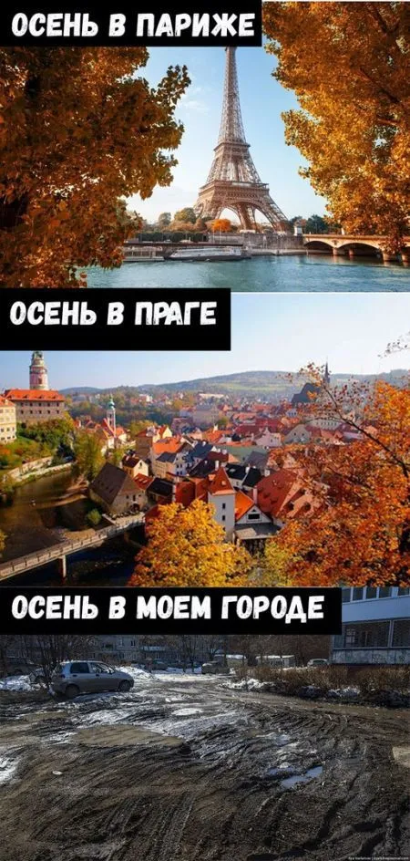 Смешные картинки с надписями от 3 ноября 2017
